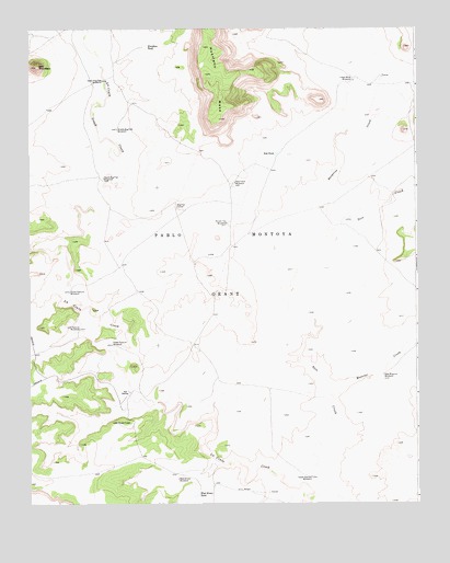 Bell Ranch, NM USGS Topographic Map