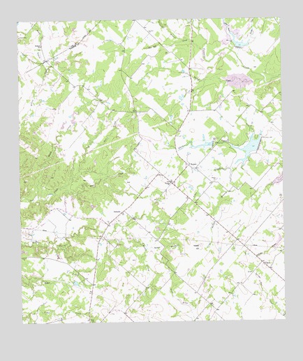 Nechanitz, TX USGS Topographic Map
