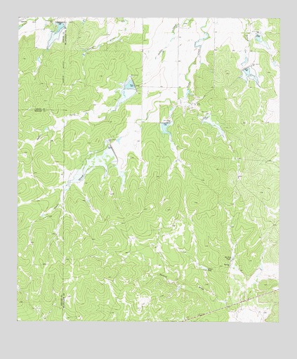 Needle Creek, TX USGS Topographic Map