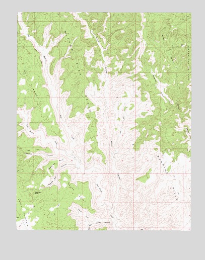 Needle Eye Point, UT USGS Topographic Map