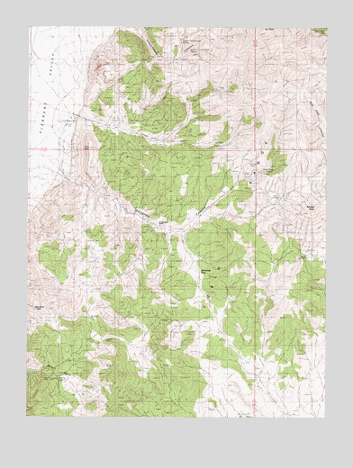 Needle Peak, NV USGS Topographic Map