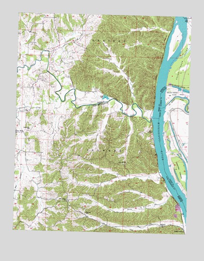 Neelys Landing, MO USGS Topographic Map