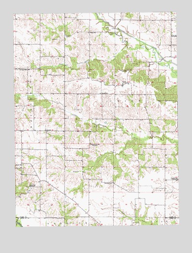 Neeper, MO USGS Topographic Map