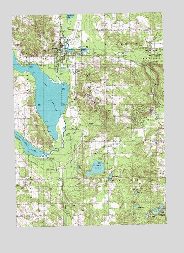 Bellaire, MI USGS Topographic Map