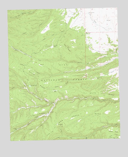 Negrito Mountain, NM USGS Topographic Map