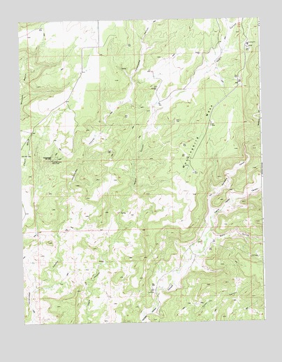 Negro Canyon, CO USGS Topographic Map