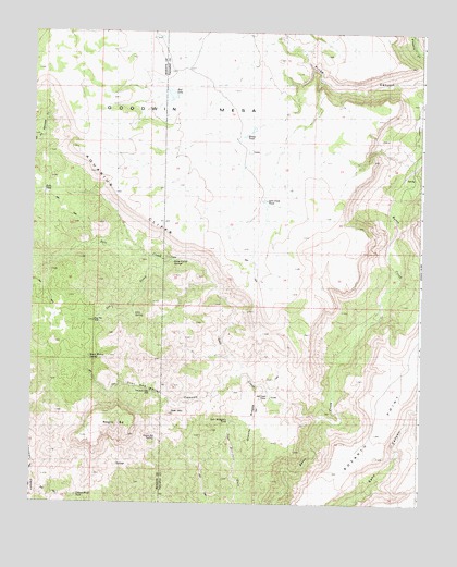 Negro Ed, AZ USGS Topographic Map