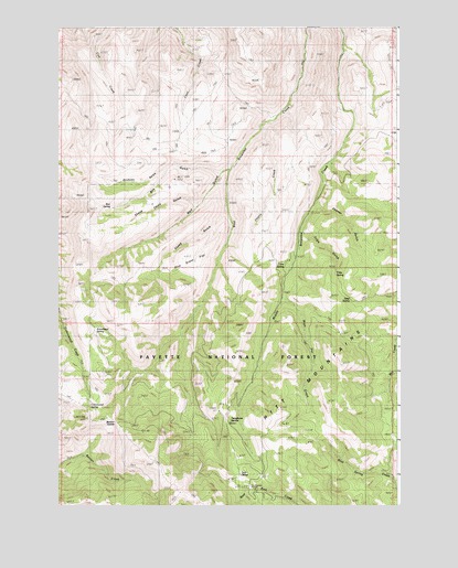 Neil Gulch, ID USGS Topographic Map