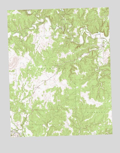Nelagoney, OK USGS Topographic Map