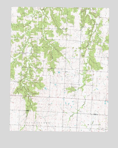 Bellamy, MO USGS Topographic Map