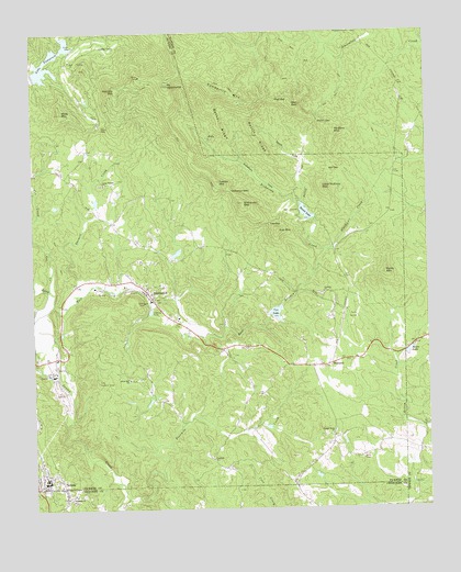 Nelson, GA USGS Topographic Map