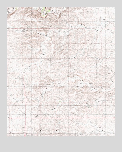 Nelson Canyon East, NM USGS Topographic Map