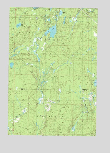 Nelson Lake, MI USGS Topographic Map