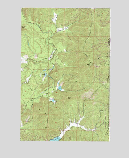 Nelson Peak, WA USGS Topographic Map