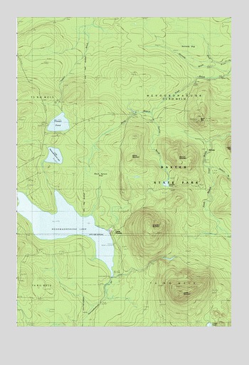 Nesowadnehunk Lake, ME USGS Topographic Map