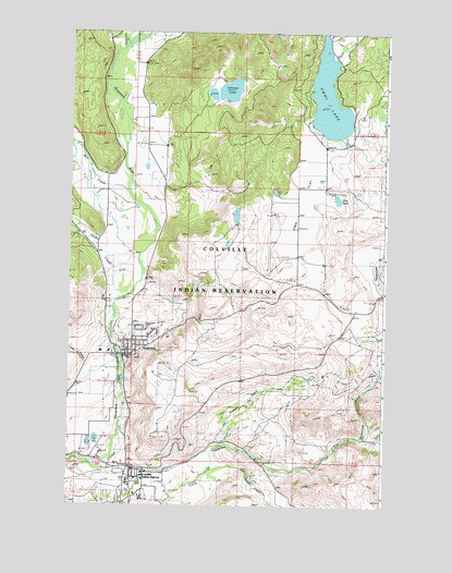 Nespelem, WA USGS Topographic Map