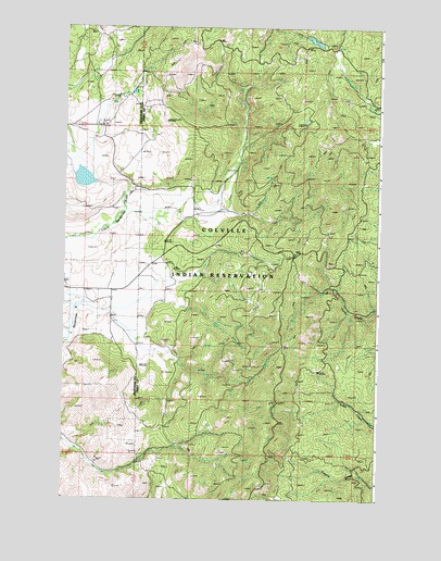 Nespelem NE, WA USGS Topographic Map