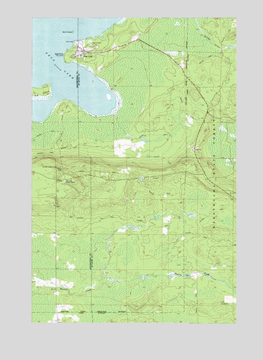 Nett Lake, MN USGS Topographic Map