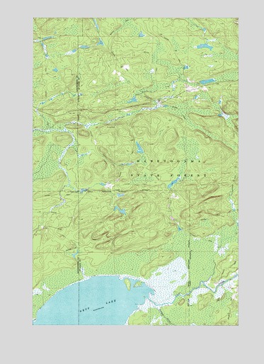 Nett Lake NE, MN USGS Topographic Map