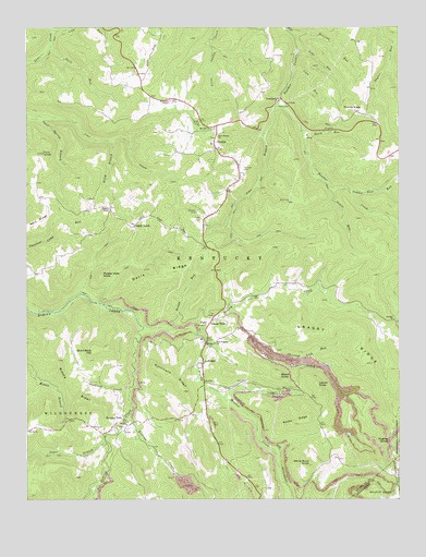 Nettie, WV USGS Topographic Map