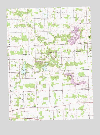 Nettle Lake, OH USGS Topographic Map