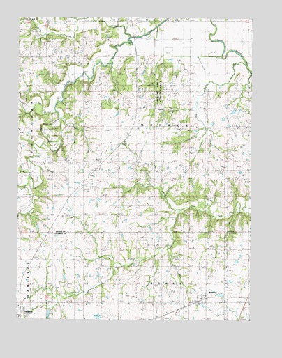 Nettleton, MO USGS Topographic Map