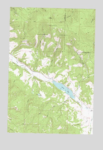 Nevada Lake, MT USGS Topographic Map