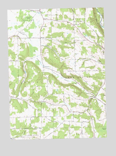 New Albion, NY USGS Topographic Map