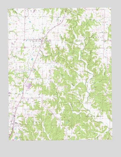 New Bloomfield, MO USGS Topographic Map