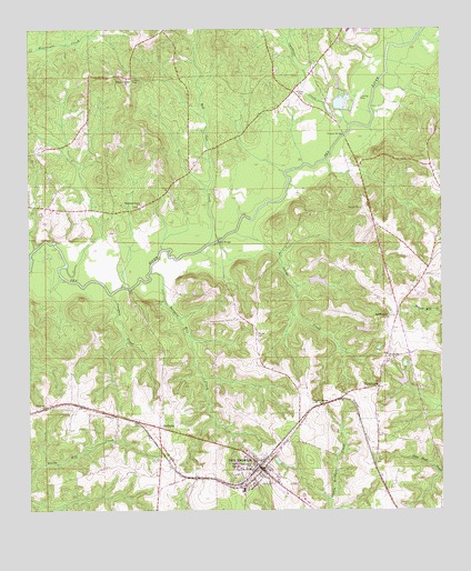 New Brockton, AL USGS Topographic Map