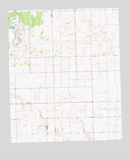 New Moore, TX USGS Topographic Map