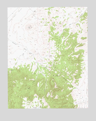 Bellehelen, NV USGS Topographic Map