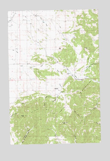 New Year, MT USGS Topographic Map