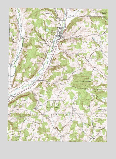 Newark Valley, NY USGS Topographic Map