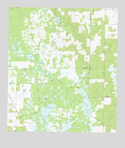 Newberry SW, FL USGS Topographic Map