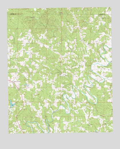 Newell, AL USGS Topographic Map