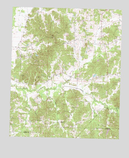 Newport, MS USGS Topographic Map