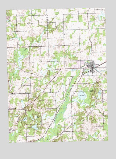 Bellevue, MI USGS Topographic Map