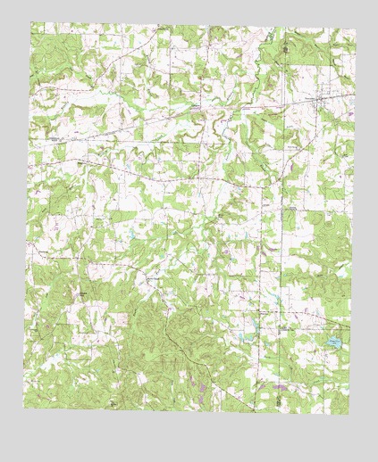 Newsome, TX USGS Topographic Map
