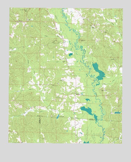 Newtonville, AL USGS Topographic Map