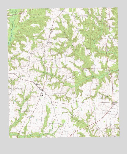Newville, AL USGS Topographic Map