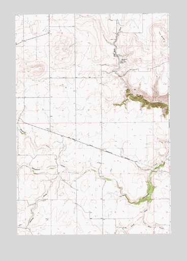 Nezperce SW, ID USGS Topographic Map