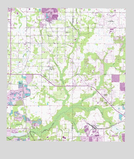 Nichols, FL USGS Topographic Map