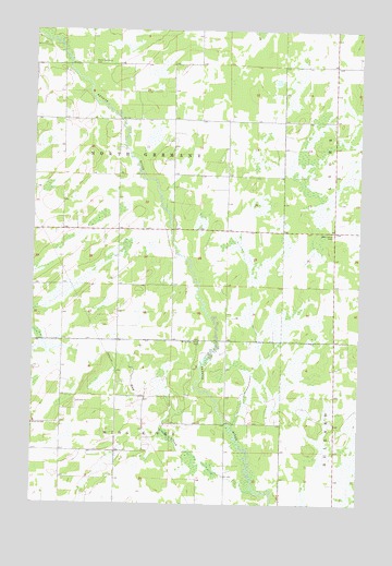 Nimrod SW, MN USGS Topographic Map