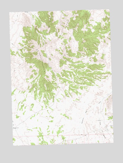 Ninemile Mountain, NV USGS Topographic Map