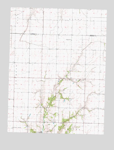 Nokomis SW, IL USGS Topographic Map