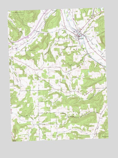 Belmont, NY USGS Topographic Map