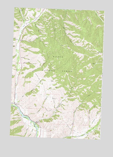 North Fork, ID USGS Topographic Map