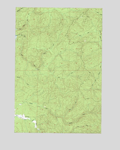 North Nemah, WA USGS Topographic Map