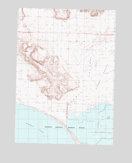 Northeast Harney Lake, OR USGS Topographic Map